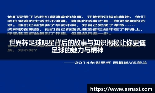 世界杯足球明星背后的故事与知识揭秘让你更懂足球的魅力与精神